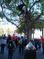 Pro-Tibet protesters who had climbed a tree are told to come down