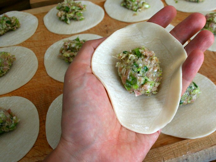 Traditional Pork Dumplings