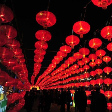 Enjoy Magnificent Lantern Displays