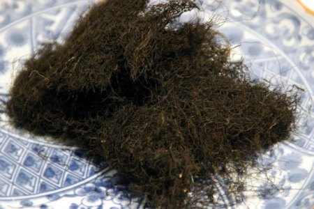 Sea Moss